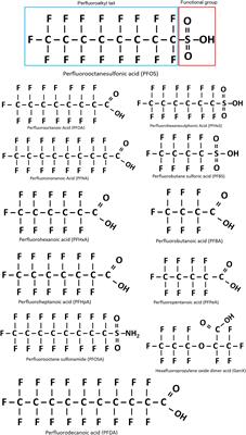 Assessment of the Emerging Threat Posed by Perfluoroalkyl and Polyfluoroalkyl Substances to Male Reproduction in Humans